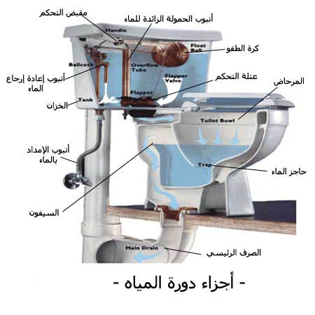 ما هي مكونات المرحاض ؟